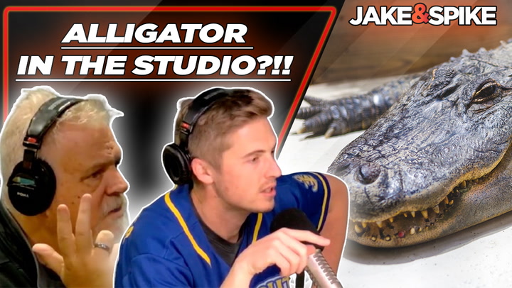 Watch Bringing an Alligator Into the Studio?!