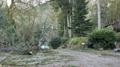 63 years after Columbus Day Storm, is western Washington prepared for the next big wind storm?