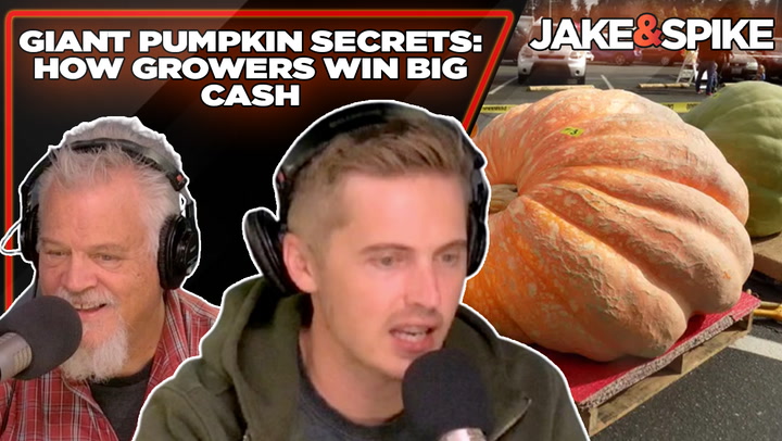 Watch How to Grow a GIANT Pumpkin!!