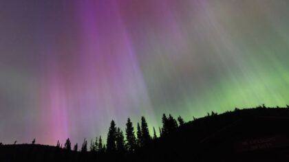 Northern lights forecast to reach Washington tonight