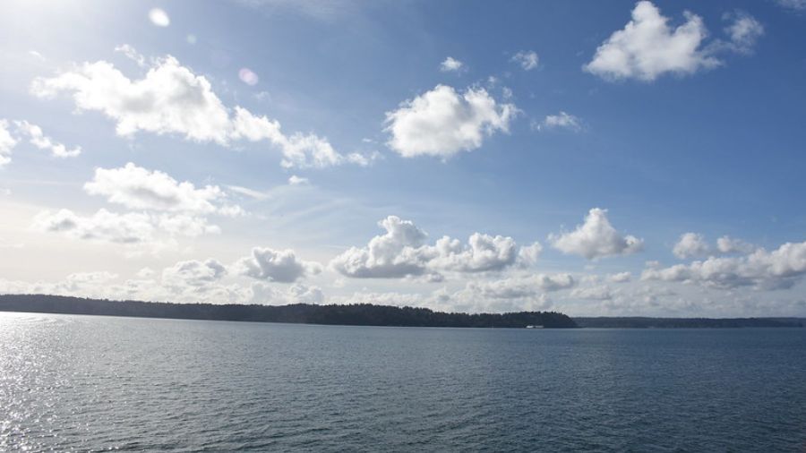 oil spill puget sound...