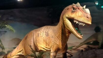 Pacific Science Center says goodbye to the dinosaurs