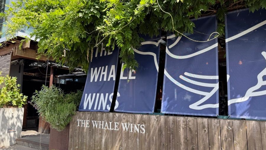 The Whale Wins (1)...