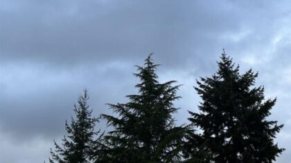 Brace for a stormy weekend in Western Washington