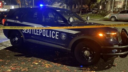 Arsonist sets up to 8 fires in an hour across Seattle’s Mount Baker neighborhood