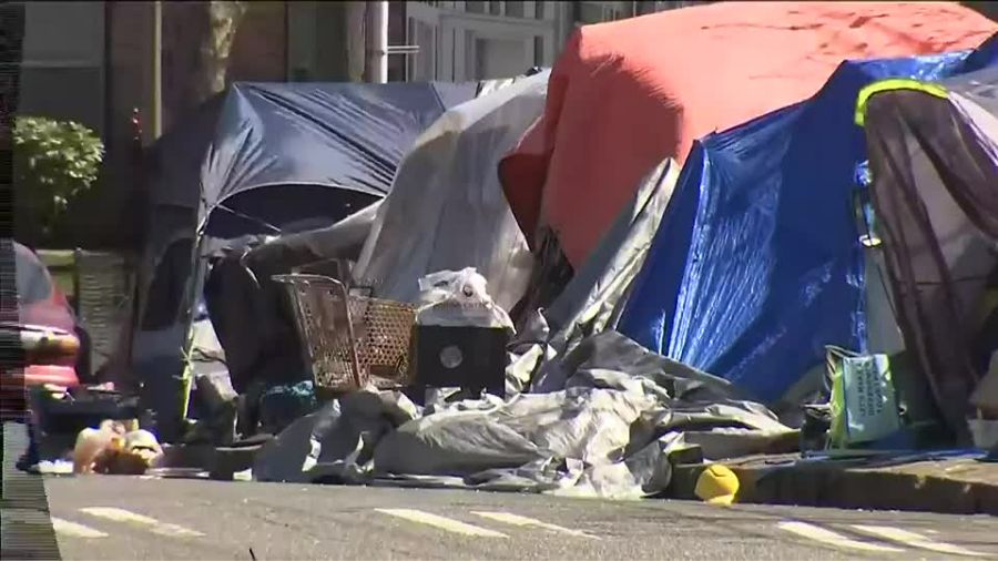 Tacoma homeless encampment camping ban...