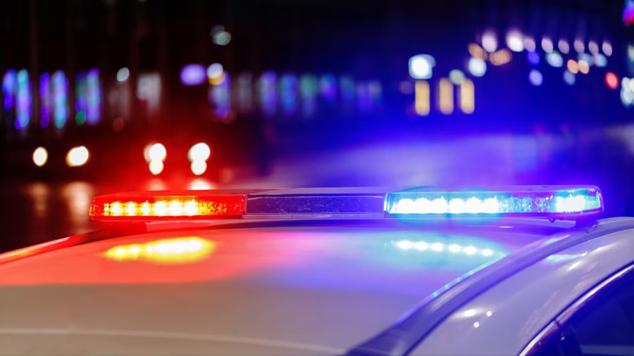 Kent car thieves sleeping...