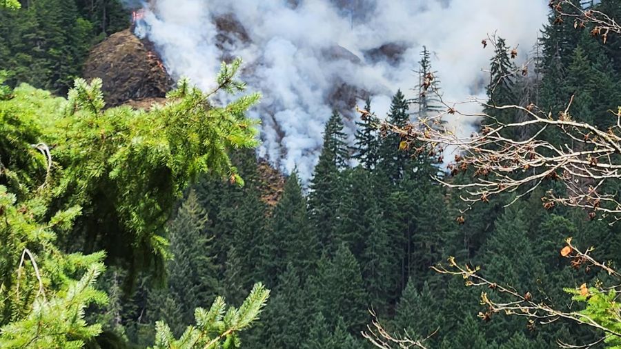 Bear Gulch Fire Lake Cushman...