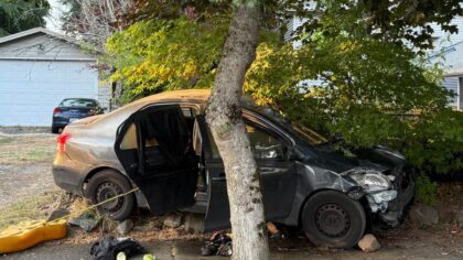 DoorDash driver crashes car while high on meth in Lynnwood, lights car on fire