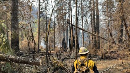 Bear Gulch Fire containment drops to 10%, covering more than 9,600 acres near Lake Cushman