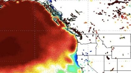 'The blob' returns: Record Pacific Ocean heatwave threatens weather, marine life