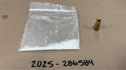 Serial police eluder attempts another escape, K9 and helicopter spoil his plans