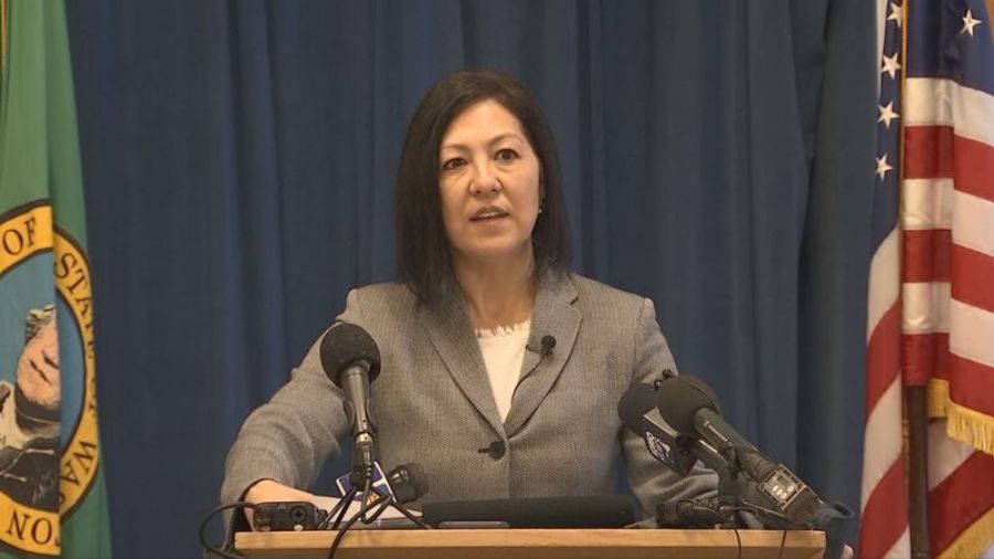 leesa manion king county broken system...