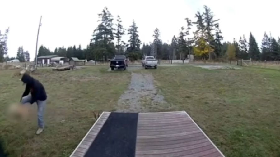 Pierce County dog abuse...