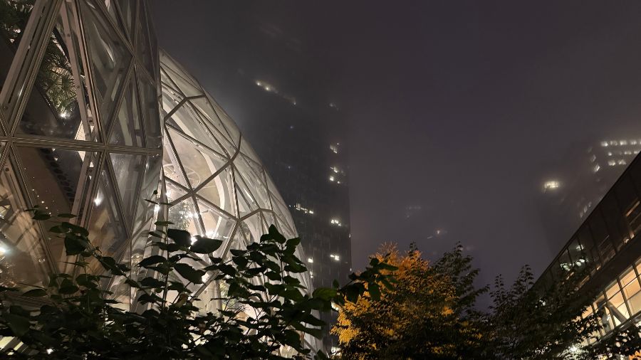 Seattle fog drivers commute...