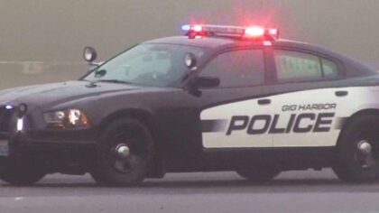 3 teens arrested after egging police cruiser, crashing into Gig Harbor chicken coop