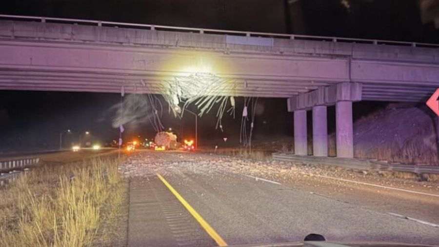 stupid motorist law wa...