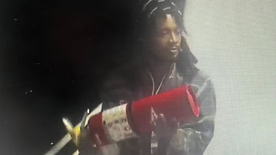 kitsap ferry vandalism...