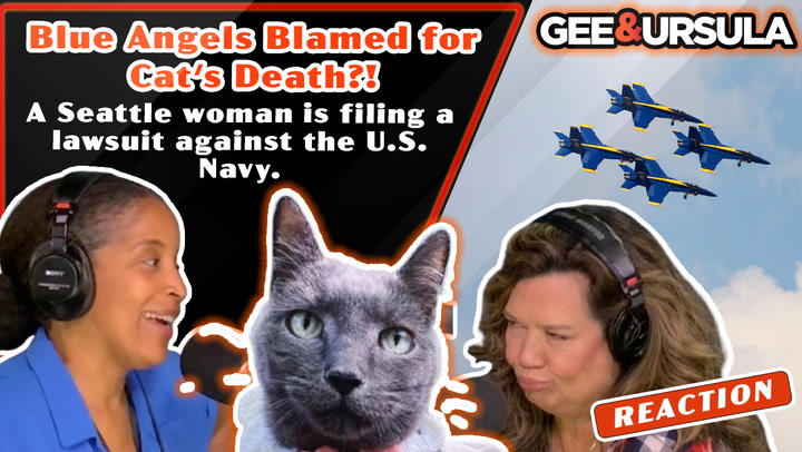 Watch Seattle Woman Sues Blue Angels Over Cat’s Death
